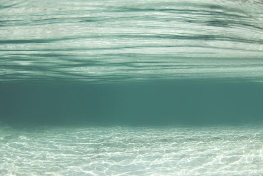 Waterscape background from the crystal clear waters of Crystal River, Florida