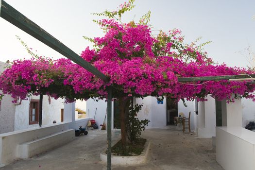 Santorini Island - summer holiday destination in Greece