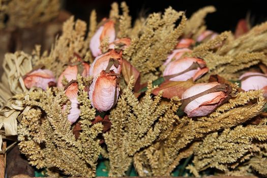 Dried flowers nice background image roses in focus