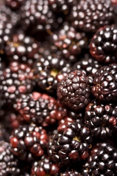 healthy fresh ripe berries a very healthy snack