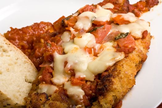 hot out of the oven fresh chicken parmesan