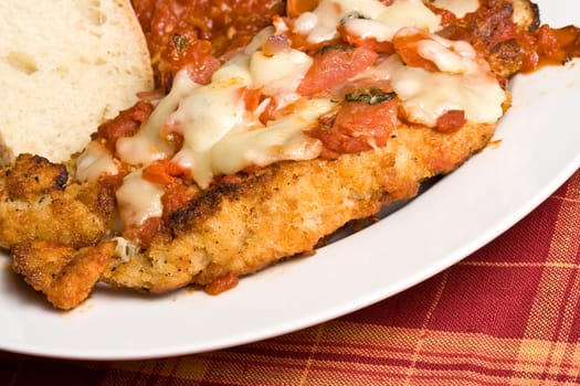 hot out of the oven fresh chicken parmesan