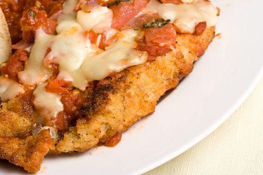 hot out of the oven fresh chicken parmesan