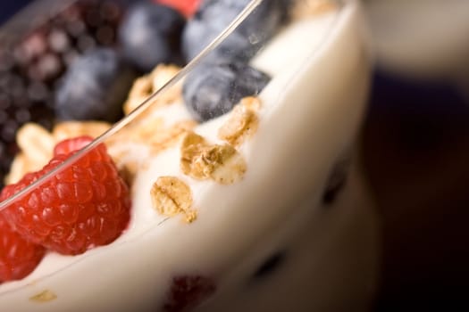 macro shot of colorful fresh fruit