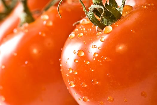 fresh red ripe tomatoes with water drops shot with a macro lens