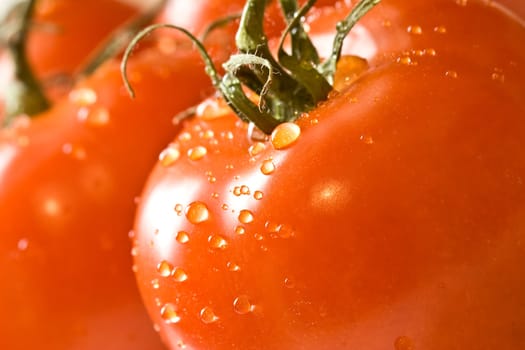 fresh red ripe tomatoes with water drops shot with a macro lens