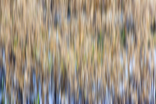 vertical motion blur abstract earth tone colors