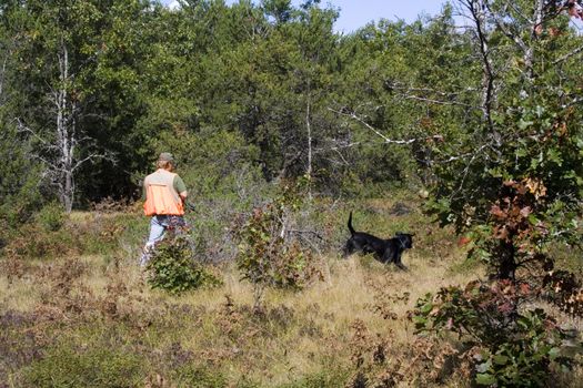 Man and dog out bird hunting in northern michigan