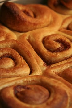 Cinnamon Rolls fresh out of the oven