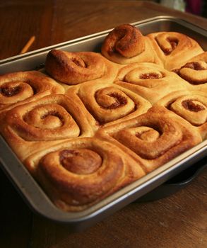 Cinnamon Rolls fresh out of the oven