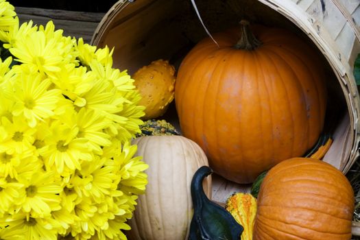 pumpkin and gourds with flowers nice fall arrangement