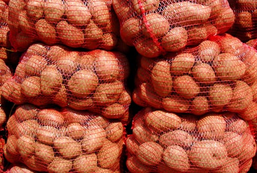 a lot of potato at the market