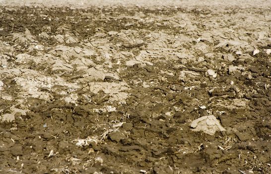 abstract of plowed farm field after long winter ready to plant using the no till method corn stalks good background with the increase in biodiesel