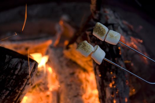 marshmellow roasting on an open fire camping outside