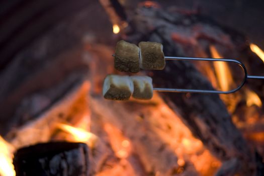 marshmellow roasting on an open fire camping outside