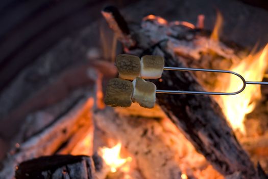 marshmellow roasting on an open fire camping outside