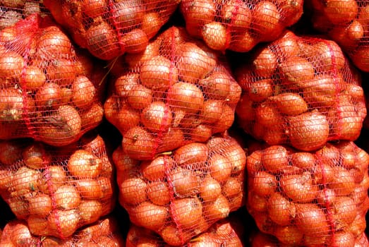 a lot of onion at the market