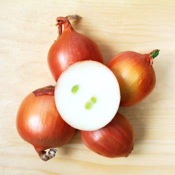 organic onion at the table