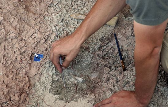 Digging for fossils in the Badlands South Dakota 
