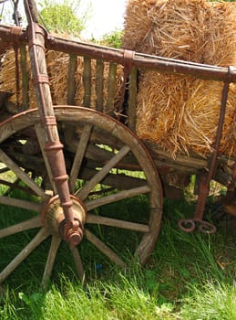 rural scene