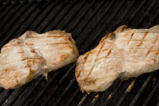 Pork chops on the grill.  Grill marks and close up detail