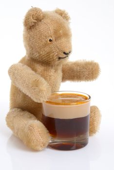 Teddy enjoying a "pint"  of ale