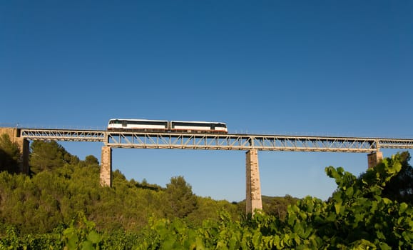 A narrow gauge train crossing a bridge over vineyards