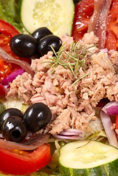 Fresh mediterranean salad with tuna, anchovies and herbs