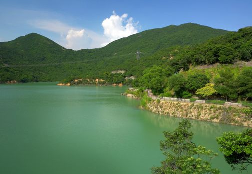 lake in forest