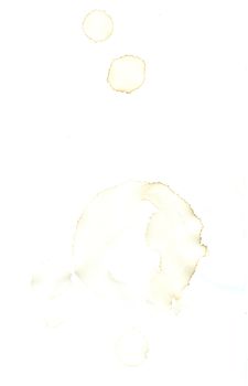 Coffee stain on a white background. Scanned at high quality.