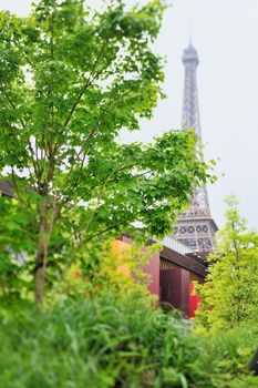 View of Eiffel Tower across trees . Photo with tilt-shift lens