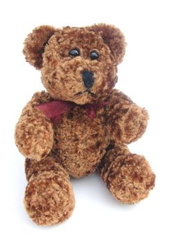 cute brown small teddy toy isolated over white