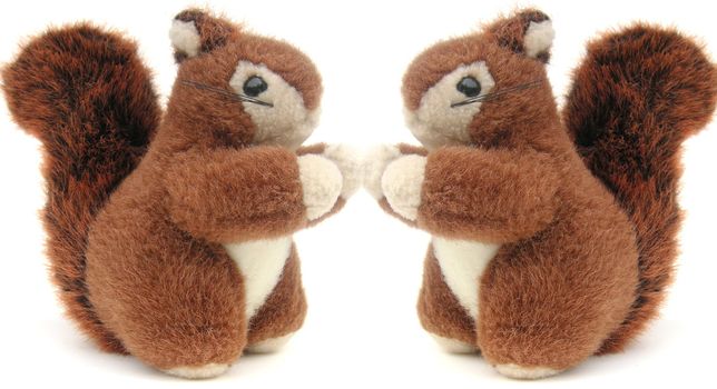 childs red squirrels furry toy isolated