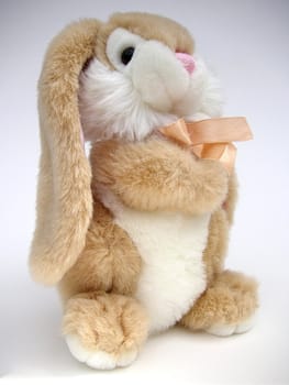 bunny rabbit  toys closeup of its face