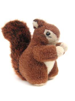 childs red squirrel furry toy isolated