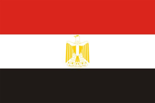 2D illustration of the flag of Egypt