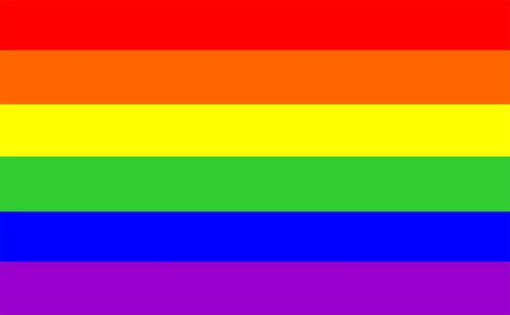 multi coloured gay pride flag vectorial illustration