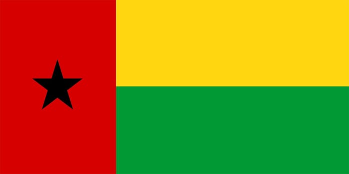 2D illustration of the flag of Guinea-Bissau vector