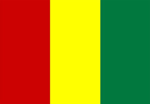 2D illustration of the flag of Guinea vector
