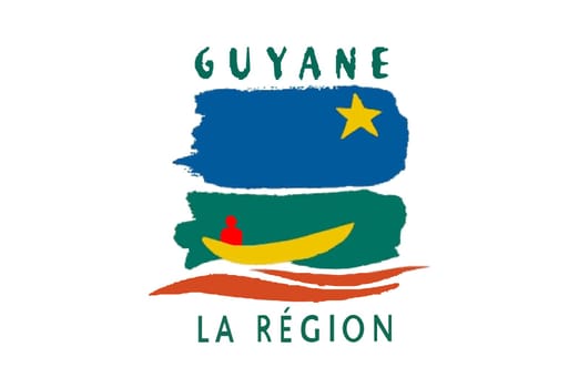 2D illustration of the flag of Guyane