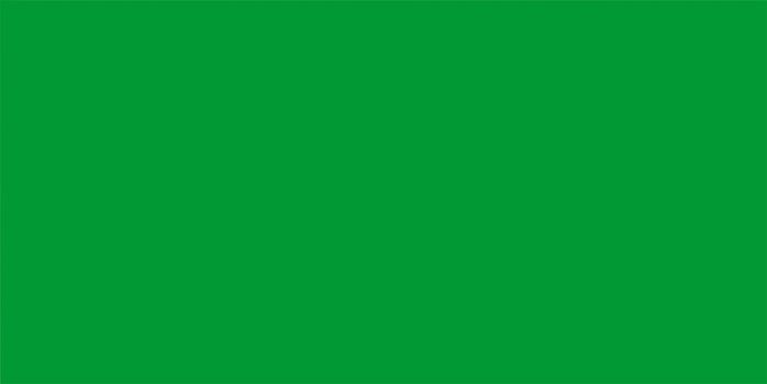 2D illustration of the flag of Libya vector
