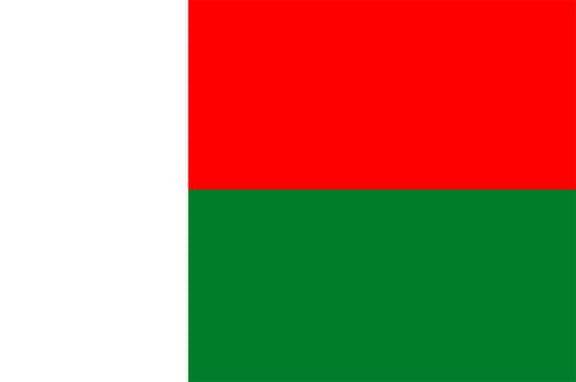 2D illustration of the flag of Madagascar vector