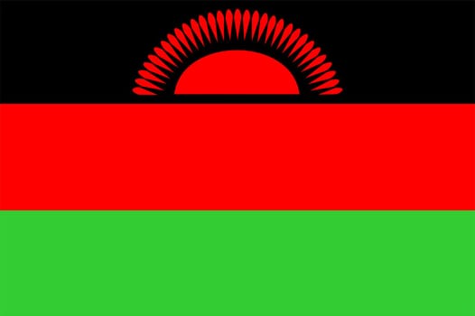 2D illustration of the flag of Malawi vector