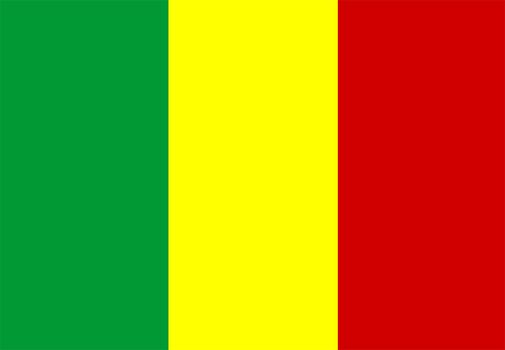 2D illustration of the flag of Mali vector