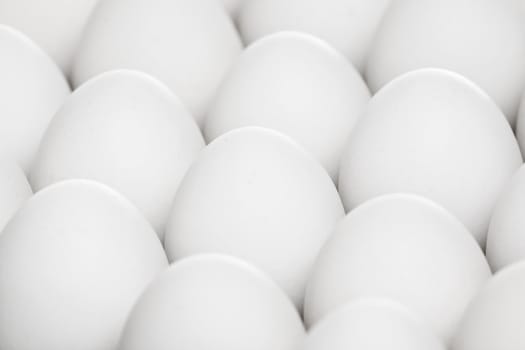 the pack of white eggs 
