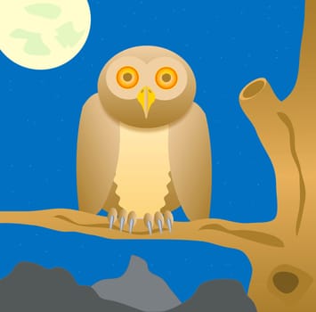 Owl sits on tree in the night