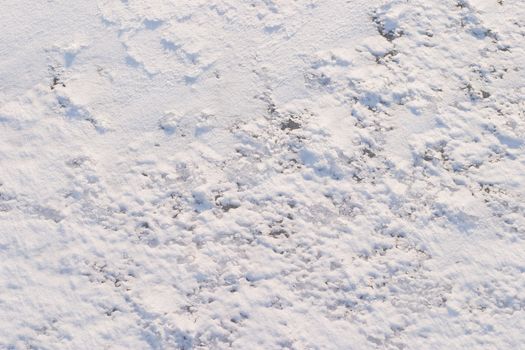 Texture of the snow. Thin snow crust on the surface of the frozen lake. Natural sunlight emphasizes texture. Pattern # 4