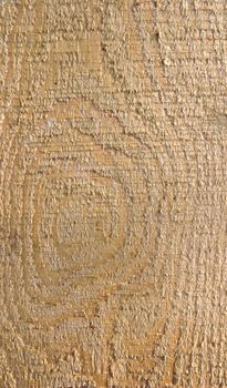 Texture of wood with coarse fibers, a cross section of pine logs. Untreated wood.