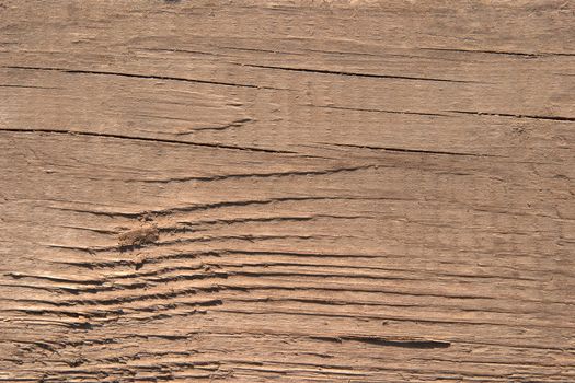 Texture of old wood. The hard side light reveals texture. One can see traces of rough handling and small cracks. Color of old noble wood. For any designer's use.