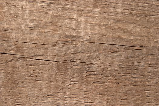 Texture of old wood. The hard side light reveals texture. One can see traces of rough handling and small cracks. Color of old noble wood. For any designer's use.
